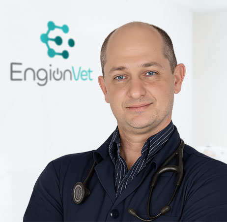 Dr. Renan Franscicatto